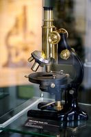 Hva er et polariserende mikroskop?